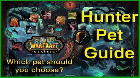 wow classic petopia|hunter wow classic pet guide.